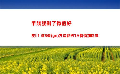 手賤誤刪了微信好友？這5個(gè)方法能把TA悄悄加回來(手誤刪了微信聊天記錄)